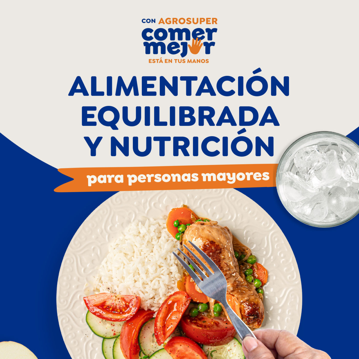 Alimentación Equilibrada y Nutrición para personas mayores