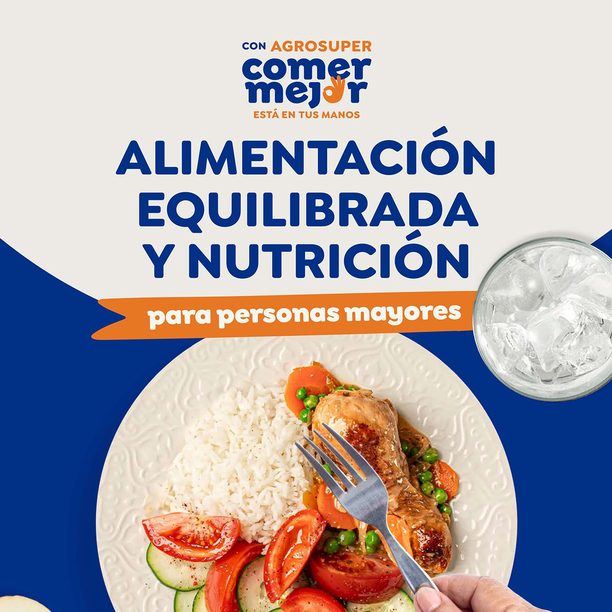 Alimentación Equilibrada y Nutrición para personas mayores